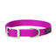 Vibrant magenta Terrain D.O.G. nylon dog collar featuring premium silver-finished metal hardware. This durable Weaver Leather pet collar includes a classic buckle closure and a branded D-ring for secure leash attachment. An adjustable and stylish dog accessory perfect for active pups, outdoor adventures, and everyday walks.