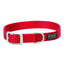 Vibrant red Weaver Leather Terrain D.O.G. nylon dog collar featuring a heavy-duty brushed nickel buckle and D-ring. Crafted from durable, high-quality nylon webbing for long-lasting wear, this stylish and rugged pet collar is perfect for active pups and outdoor adventures. The Terrain D.O.G. logo is displayed on a sleek black patch and etched onto the silver metal hardware for a premium look.