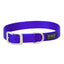 Vibrant royal blue Terrain D.O.G. nylon dog collar by Weaver Leather. This durable pet accessory features heavy-duty nylon webbing, a sturdy silver-tone metal buckle, and a secure D-ring for leash attachment. Perfect for active dogs, this stylish and adjustable collar is built for daily adventures and outdoor reliability.