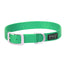 Green Weaver Leather Terrain D.O.G. nylon dog collar featuring a durable silver metal buckle and an engraved D-ring for easy leash attachment. This heavy-duty, stylish pet accessory is crafted from high-quality webbing with a black rubberized brand patch, making it a perfect choice for active dogs and outdoor adventures.