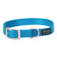 Vibrant blue Weaver Leather Terrain D.O.G. nylon dog collar featuring heavy-duty webbing, a durable silver metal buckle, and a matching D-ring engraved with the brand logo. This stylish, adjustable pet accessory includes a black rubberized Terrain D.O.G. patch, making it the perfect outdoor gear for active dogs. High-quality construction ensures comfort and security for your pup's daily walks and adventures.