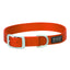 Bright orange Weaver Leather Terrain D.O.G. nylon dog collar featuring durable woven webbing, a sturdy silver-tone metal buckle, and a matching D-ring for leash attachment. This heavy-duty, adjustable pet collar includes a sleek black brand patch, making it a stylish and functional choice for outdoor adventures, hunting, or daily walks. Ideal high-visibility gear for active pups.