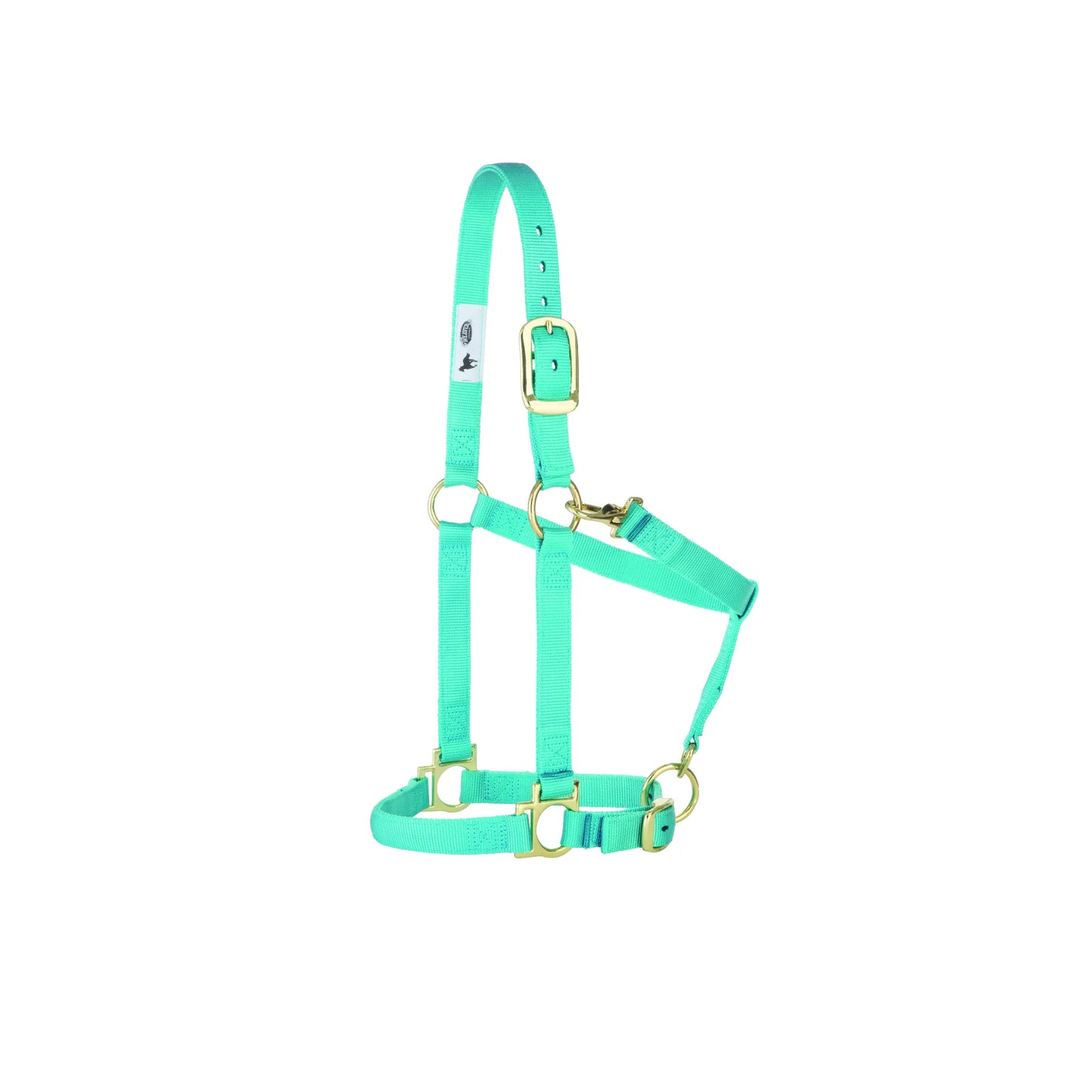 Weaver Leather Nylon Horse Halter in vibrant turquoise featuring high-quality brass hardware and a comfortable padded nose and crown. This durable, adjustable seafoam green halter includes a convenient throat snap hook for easy on and off. Perfect for everyday equestrian use, training, or turnout, this stylish average-sized horse halter combines strength with a pop of color.