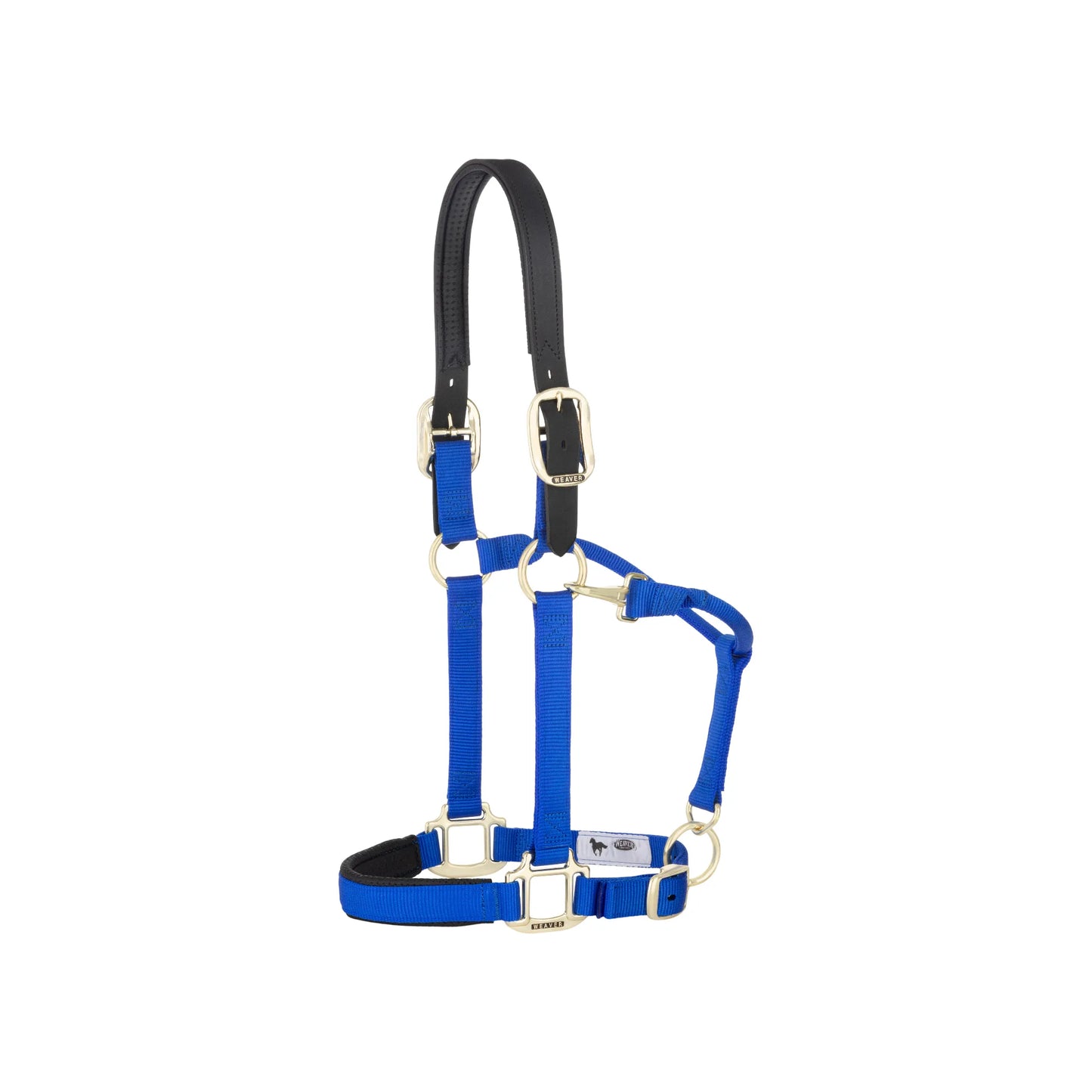 Weaver Leather Royal Blue Nylon Horse Halter with black leather breakaway crownpiece for safety. This large, padded halter features adjustable brass-plated hardware and a soft lining for maximum horse comfort. Durable and stylish equestrian gear, perfect for daily stable use or turnout. High-quality tack from Weaver Leather.