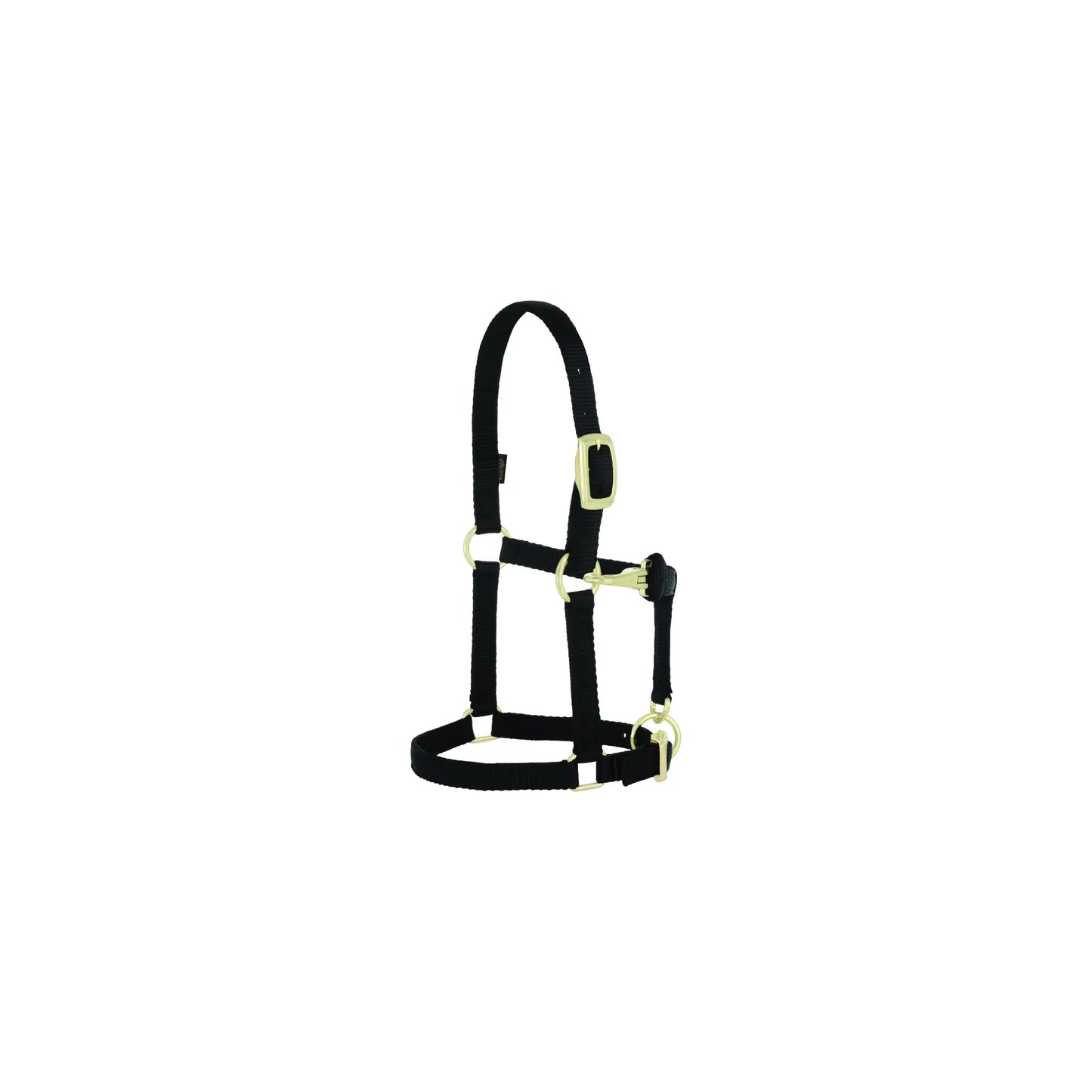 Weaver Leather Original Adjustable Nylon Horse Halter in black, specifically designed for weanlings, sucklings, and Arabian horses. This 3/4" wide halter features premium brass-plated hardware, a convenient throat snap, and heat-sealed buckle holes for long-lasting durability. High-quality, reliable horse tack perfect for everyday use, training, or showing.