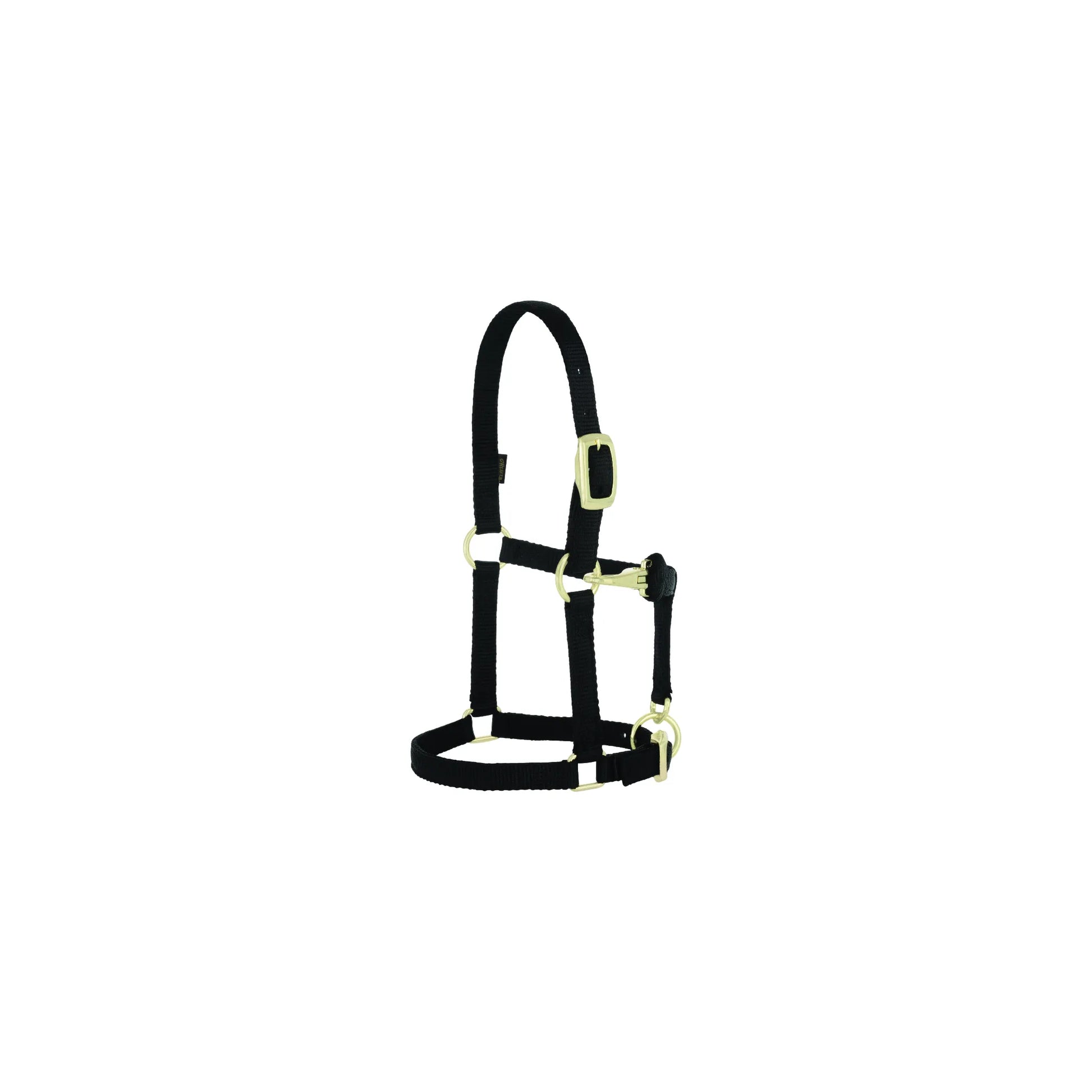 Weaver Leather Original Adjustable Nylon Horse Halter in black, specifically designed for weanlings, sucklings, and Arabian horses. This 3/4" wide halter features premium brass-plated hardware, a convenient throat snap, and heat-sealed buckle holes for long-lasting durability. High-quality, reliable horse tack perfect for everyday use, training, or showing.
