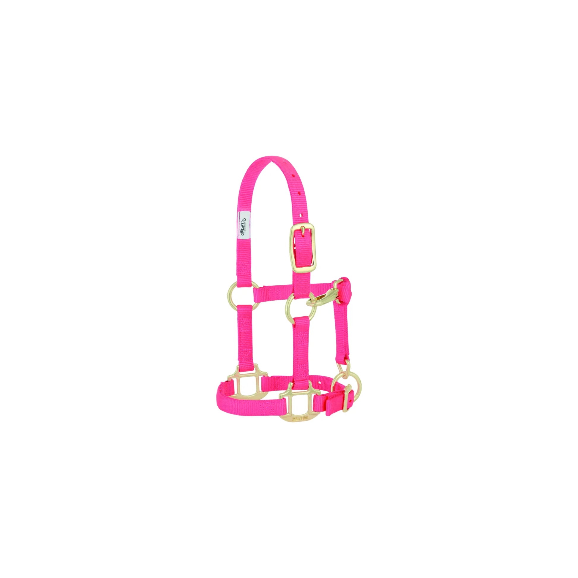 Weaver Leather Original Adjustable 3/4" Nylon Horse Halter in neon pink. Designed for weanlings, sucklings, and Arabian horses, featuring durable nylon webbing and premium brass-plated hardware. This bright pink horse halter includes an adjustable crown and nose for a custom fit. High-quality equestrian tack perfect for training and daily use with young horses or small breeds.