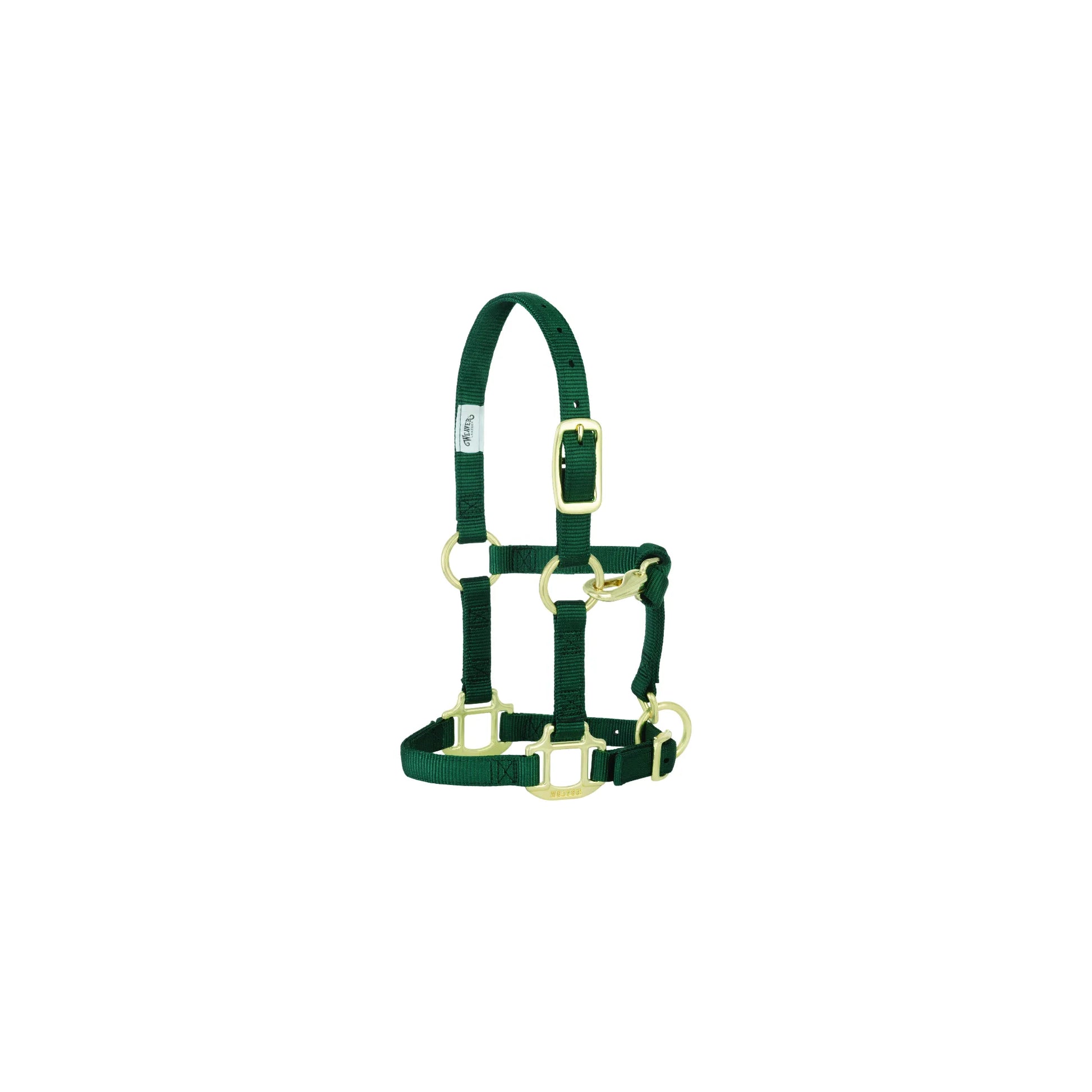 Weaver Leather Hunter Green Adjustable Nylon Horse Halter for Weanlings, Sucklings, and Arabians. This 3/4-inch wide halter features durable green webbing and premium brass-plated hardware with a convenient throat snap. High-quality horse tack designed for a secure, adjustable fit for young colts, fillies, and smaller horse breeds.