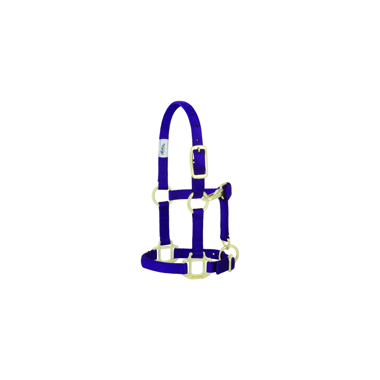 Weaver Leather Original 3/4" purple nylon horse halter designed for weanlings, sucklings, and Arabian horses. Features durable nylon webbing with reinforced stitching, premium brass-plated hardware, and adjustable crown and chin straps for a secure, custom fit. This vibrant purple halter is a must-have for young horses and refined breeds, offering both strength and classic equestrian style.