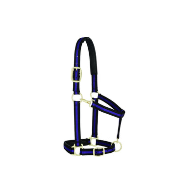 Weaver Leather Padded Adjustable Halter in average horse size, featuring durable black nylon with a vibrant purple center stripe. This stylish headstall includes comfortable padding on the poll and noseband, complemented by premium brass hardware for a classic look. Ideal for daily turnout or training, this high-quality horse tack offers a secure, adjustable fit for your equine partner.