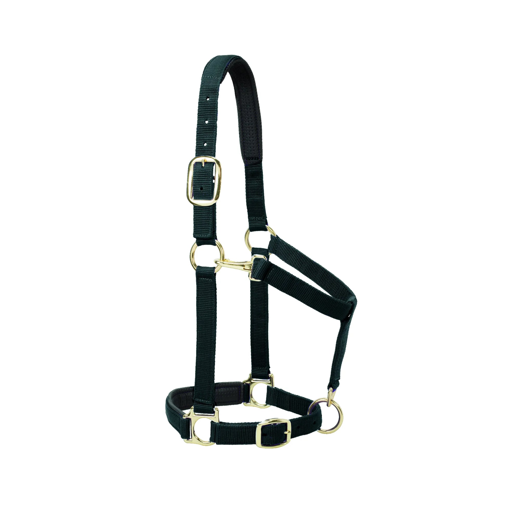Weaver Leather Padded Halter in dark green nylon with premium brass hardware. This adjustable horse halter features extra soft padding on the noseband and crown for superior comfort. Designed for large horses, it includes heavy-duty webbing, an adjustable chin, and a convenient throat snap. Ideal for daily use, training, or trailering, providing a secure and stylish fit for your horse.