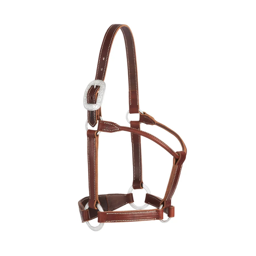 Weaver Leather Premium Western Leather Bronc Halter - Average Horse Size