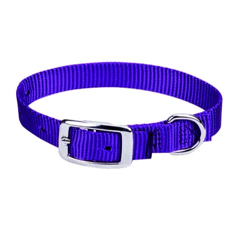 Vibrant purple Weaver Leather Prism Choice dog collar made from durable, heavy-duty nylon webbing. This stylish pet collar features a classic silver metal buckle and a sturdy D-ring for secure leash attachment. Perfect for active dogs, this adjustable purple collar combines strength and high-visibility color for daily walks and outdoor adventures. A high-quality, must-have accessory for pet owners looking for both durability and style.