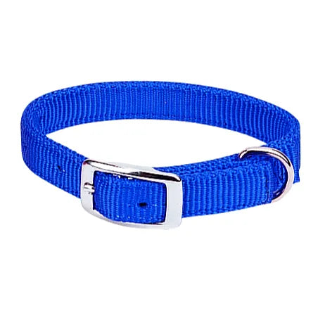 Vibrant royal blue Weaver Leather Prism Classic Dog Collar crafted from durable nylon webbing. This stylish and comfortable pet accessory features a secure silver-tone buckle and a sturdy metal D-ring for leash attachment. An adjustable, high-quality dog collar perfect for everyday walks and outdoor adventures.