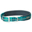 Teal blue Terrain D.O.G. reflective dog collar by Weaver Leather featuring a durable turquoise nylon strap with a high-visibility reflective stripe. This comfortable pet collar includes soft grey neoprene padding, a heavy-duty matte silver metal buckle, and a matching D-ring for leash attachment. Designed for safety and style, it’s an ideal adjustable outdoor collar for active dogs and nighttime visibility.