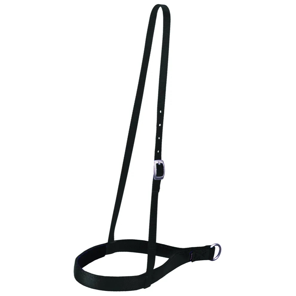 Weaver Leather Roper Noseband crafted from durable black nylon webbing with soft comfort felt padding for horse protection. This western horse tack features an adjustable crown strap with a silver buckle for a custom fit and a sturdy metal D-ring for tie-down attachment. High-quality equestrian gear designed for roping, training, and everyday western riding performance.