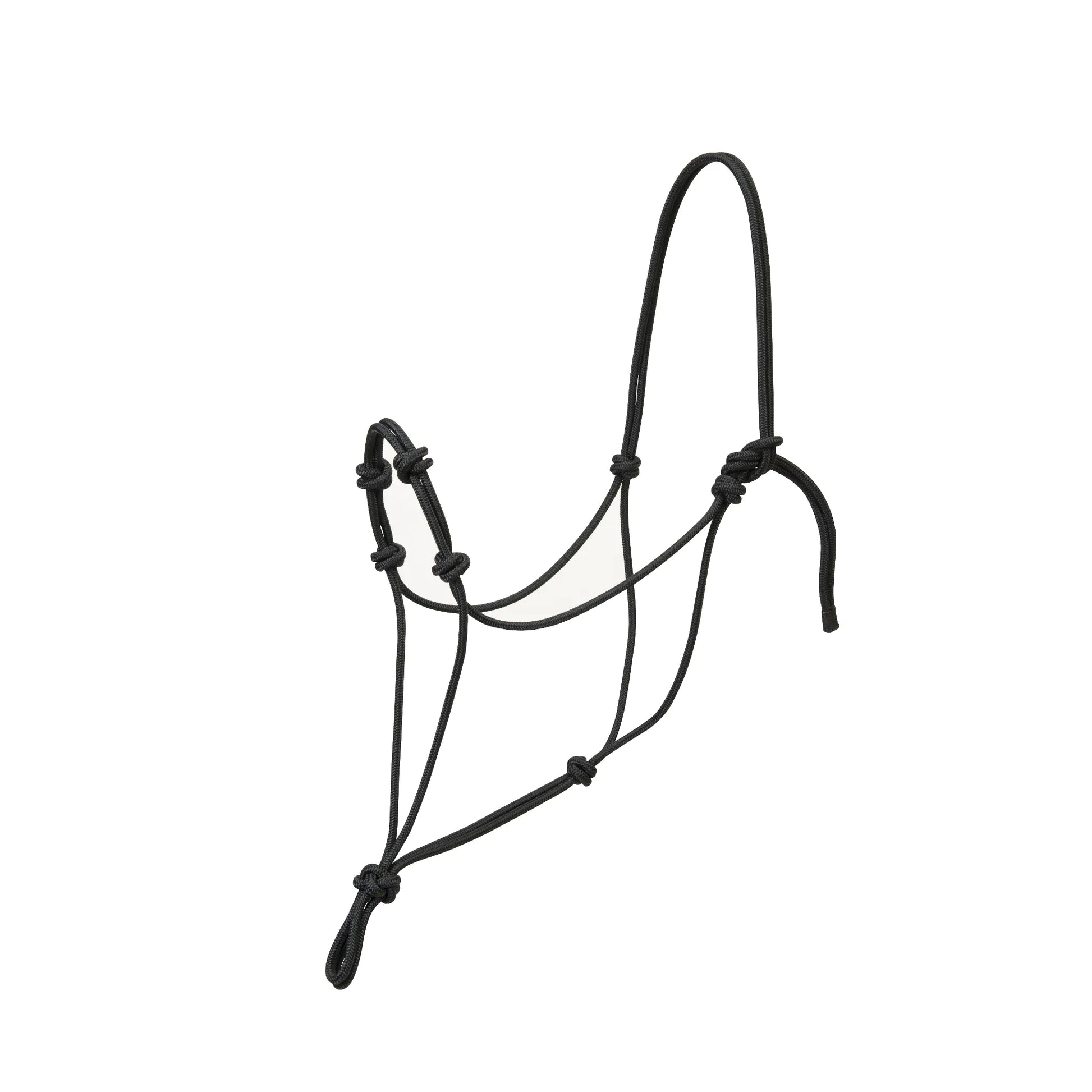 Weaver Leather Silvertip Four Knot Rope Halter in sleek black. This large training halter features extra pressure points on the nose for refined control and communication. Made from premium, durable cord, it’s a must-have for natural horsemanship, groundwork, and trail riding. High-quality horse tack designed for performance and longevity.