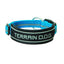 Adjustable Weaver Leather Terrain D.O.G. padded dog collar in vibrant electric blue and black. Designed for comfort and safety, it features a wide neoprene-lined strap with a reflective "TERRAIN D.O.G." logo and dual-row reflective stitching on the durable nylon webbing. This high-visibility pet collar includes a sturdy silver metal D-ring and a black plastic quick-release buckle, making it the perfect gear for active dogs on outdoor adventures.