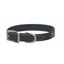 Weaver Leather Terrain D.O.G. Brahma Webb Dog Collar in matte black. Features a waterproof, odor-resistant synthetic strap with brushed silver hardware and a heavy-duty buckle. The reinforced D-ring displays the Terrain D.O.G. logo and contrast white stitching. A durable, easy-to-clean collar designed for active outdoor dogs, hunting, and all-weather adventures.
