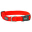 Terrain D.O.G. braided nylon dog collar in a vibrant safety orange. This heavy-duty, durable collar by Weaver Leather features a comfortable textured weave, a dark grey quick-release plastic buckle, and a rugged silver metal D-ring for leash attachment. An ideal choice for active dogs, hunting, and outdoor adventures, combining high visibility with a stylish and secure fit.