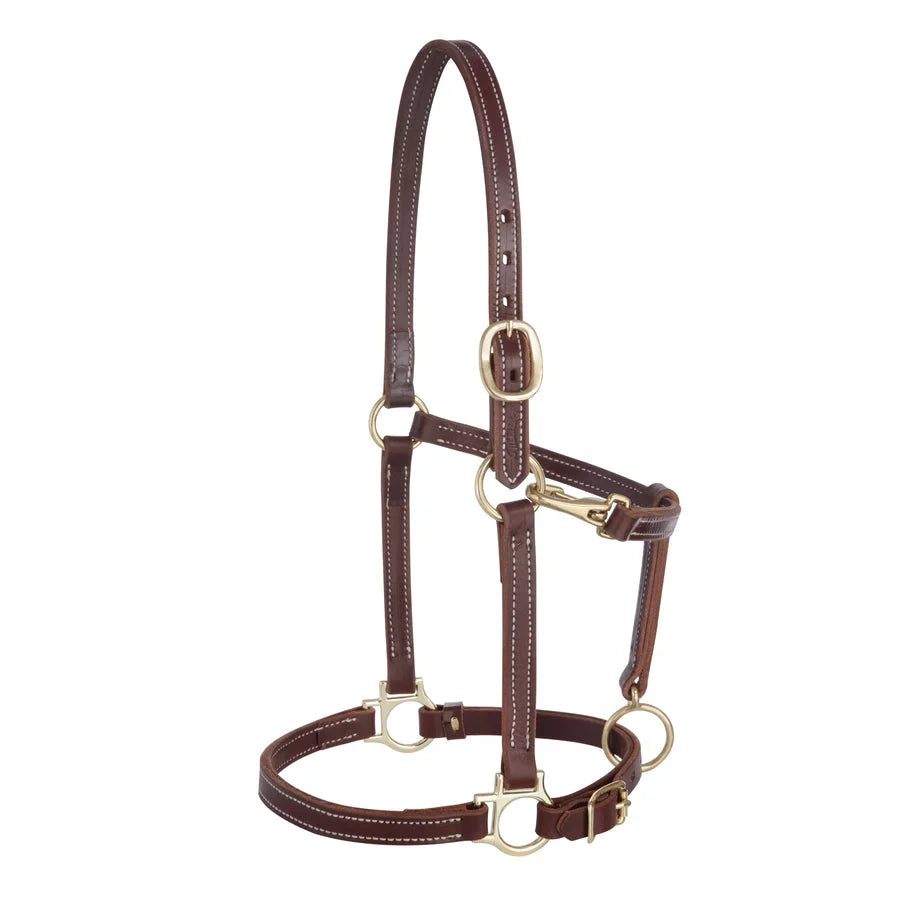 Weaver Leather Track Halter - Premium Quality Leather Horse Halter - Multiple Sizes