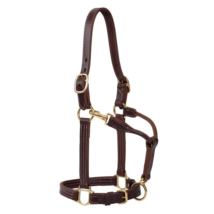 Weaver Leather Track Halter - Premium Quality Leather Horse Halter - Multiple Sizes