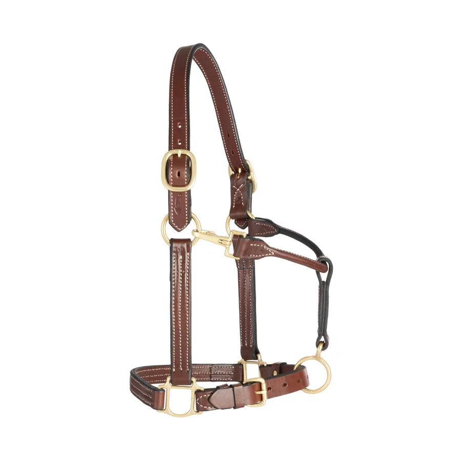 Weaver Leather Track Halter - Premium Quality Leather Horse Halter - Multiple Sizes