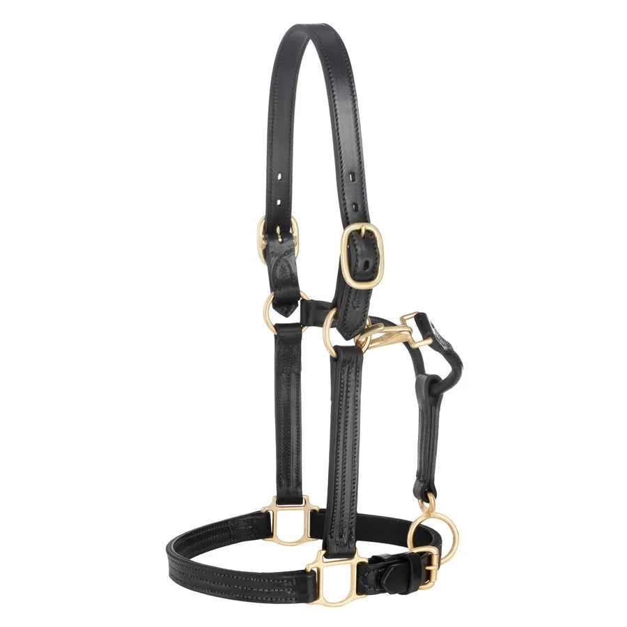 Weaver Leather Track Halter - Premium Quality Leather Horse Halter - Multiple Sizes