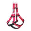 Weaver Terrain D.O.G. reflective dog harness in vibrant pinkish-red with high-visibility silver stitching. This durable step-in harness features black neoprene padding for maximum comfort, adjustable straps with plastic sliders, and dual metal D-rings for secure leash attachment. Perfect for outdoor adventures, night safety, and daily walks, this rugged pet gear combines style with performance for active dogs.