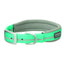 Weaver Terrain D.O.G. neon green reflective dog collar featuring a soft grey padded lining for maximum comfort. This adventure-ready collar includes high-visibility reflective stitching, a matte silver buckle, and an etched D-ring. Designed for safety and style during night walks and outdoor excursions, this durable gear is perfect for active pets.