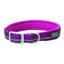 Purple Weaver Terrain D.O.G. reflective dog collar featuring vibrant magenta neoprene padding for ultimate comfort and safety. This adventure-ready collar includes high-visibility reflective stitching, a heavy-duty silver buckle, and a durable D-ring with logo etching. Perfect for active dogs, this stylish nylon collar combines rugged durability with soft cushioning for everyday walks and nighttime visibility.