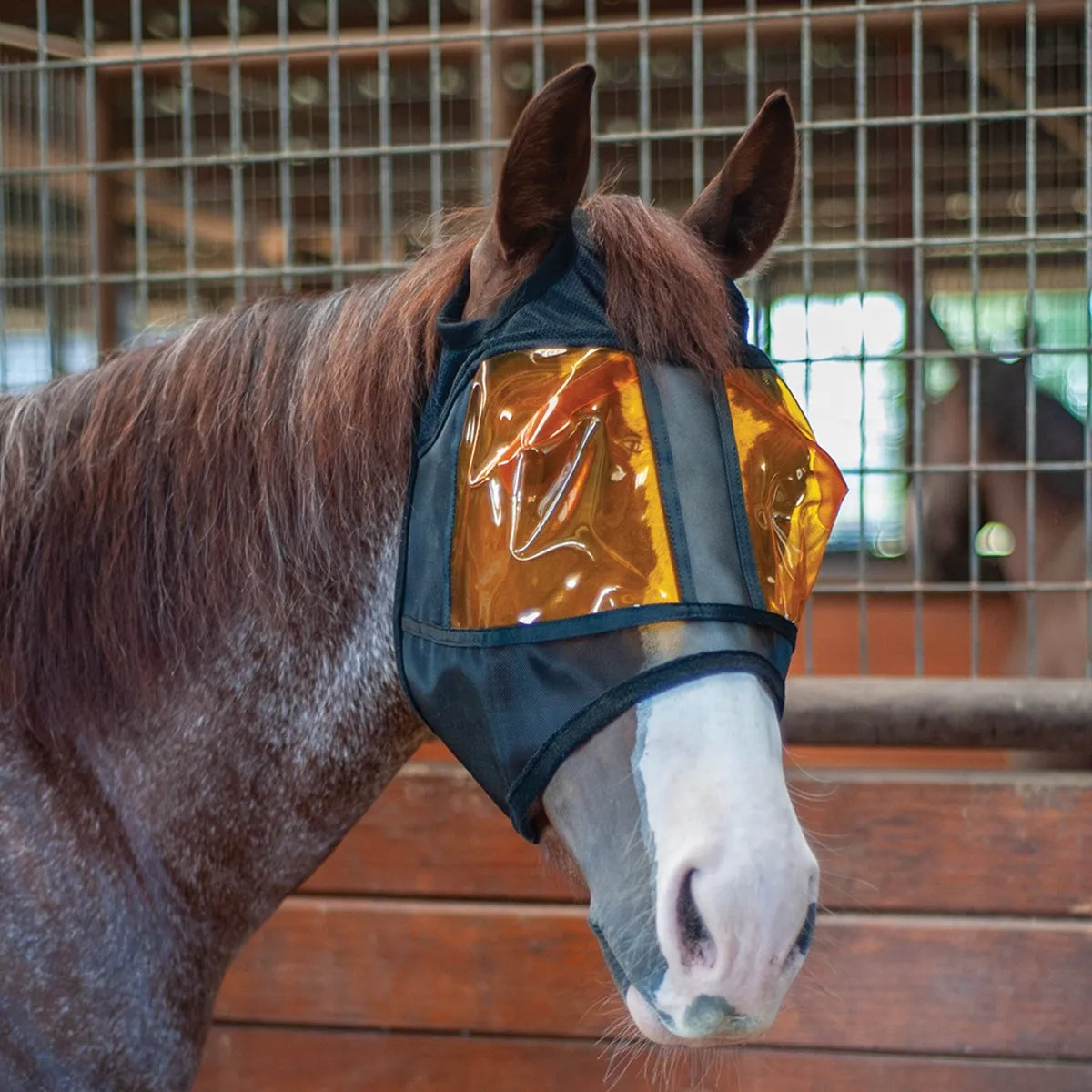 Xpert Equine REM Mask for restful horse sleep and recovery. This black equine face mask features specialized amber-tinted eye covers designed to block blue light and promote melatonin production. Pictured on a roan horse with a white blaze in a stable setting, this therapeutic mask is perfect for competition horses needing quality rest, performance recovery, and stress reduction in bright environments.