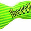 Green and yellow stripped toy with catnip - Hooves and Paws