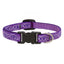 Dog Collar Lupine Pet Lifetime Adjustable 1/2" 3/4" or 1" Puppy Original Designs - Hooves and Paws