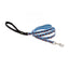 Dog Leash Lupine Pet Lifetime 6 Foot Lead 3/4" or 1" Puppy Original Designs - Hooves and Paws