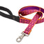 Dog Leash Lupine Pet Lifetime 6 Foot Lead 3/4" or 1" Puppy Original Designs - Hooves and Paws