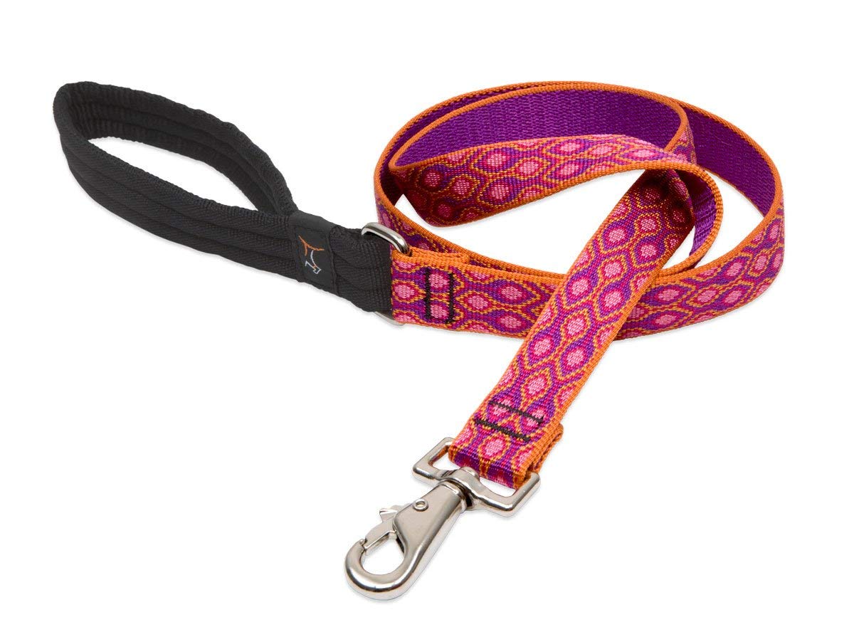 Dog Leash Lupine Pet Lifetime 6 Foot Lead 3/4" or 1" Puppy Original Designs - Hooves and Paws