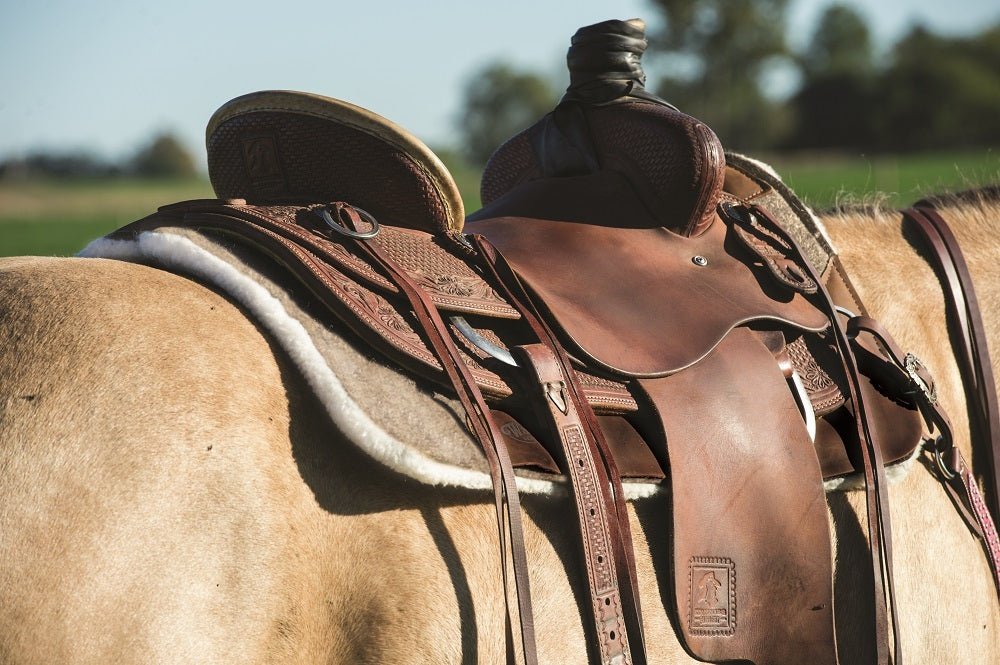 Weaver Leather Synergy Contoured Wool Blend Felt Performance Saddle Pad - Hooves and Paws