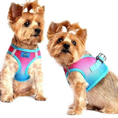 Doggie Design American River Dog Harness Ombre Collection - Hooves and Paws