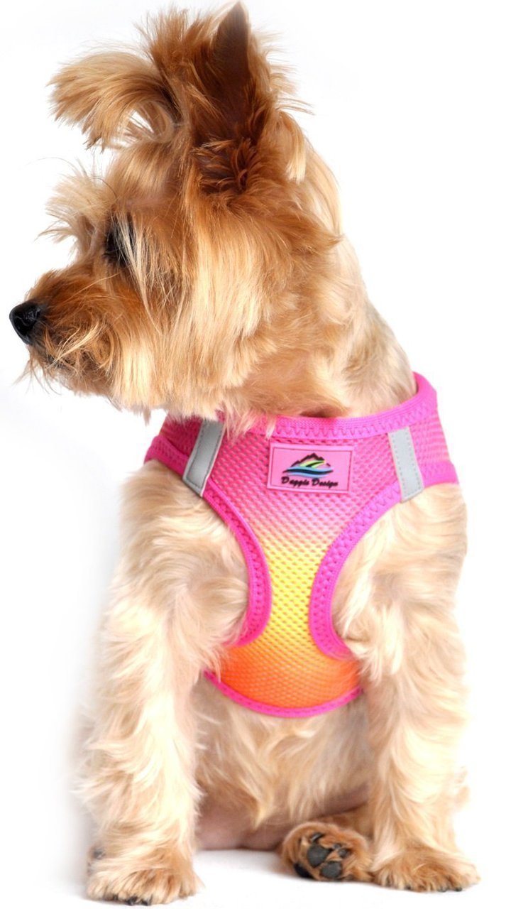Doggie Design American River Dog Harness Ombre Collection - Hooves and Paws