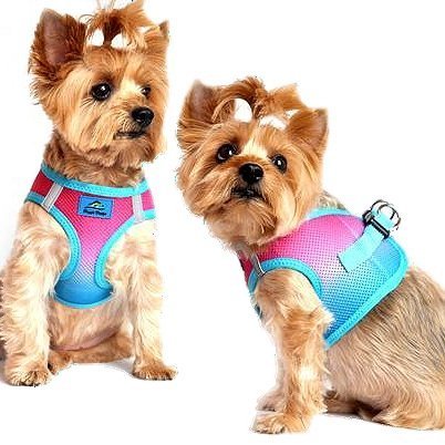 Doggie Design American River Dog Harness Ombre Collection - Hooves and Paws