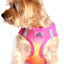 Doggie Design American River Dog Harness Ombre Collection - Hooves and Paws
