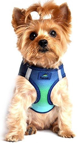 Doggie Design American River Dog Harness Ombre Collection - Hooves and Paws