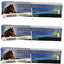 Ivermax Ivermectin 1.87% Paste Apple Flavored Wormer Bots Equine Parasites Horse - Hooves and Paws