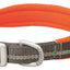 Weaver Terrain D.O.G. Durable Pet Outdoor Gear Reflective Neoprene Lined Collars - Hooves and Paws