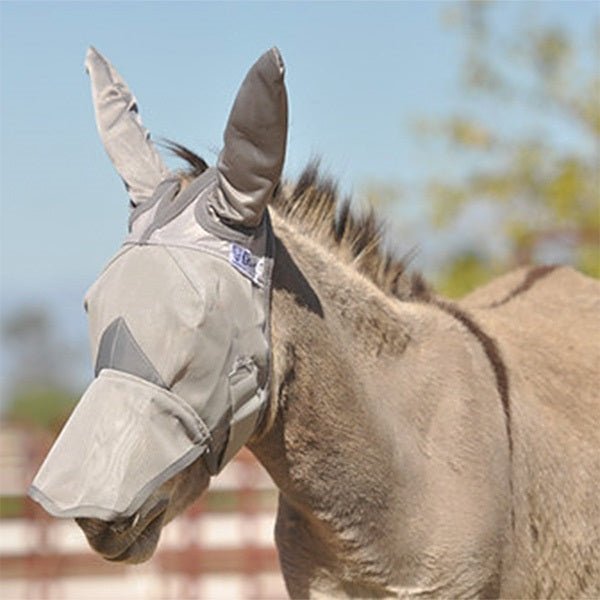 Cool Cashel Crusader Sun Fly Mask - Hooves and Paws