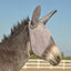Cool Cashel Crusader Sun Fly Mask - Hooves and Paws