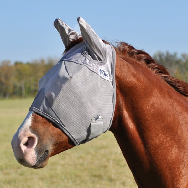 Cool Cashel Crusader Sun Fly Mask - Hooves and Paws