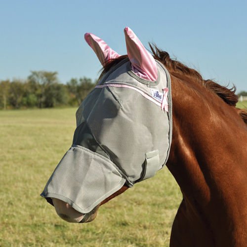 Cool Cashel Crusader Sun Fly Mask - Hooves and Paws