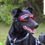 LoveWally Dog Goggles Sunglasses Outdoor Adventure Gear - Hooves and Paws